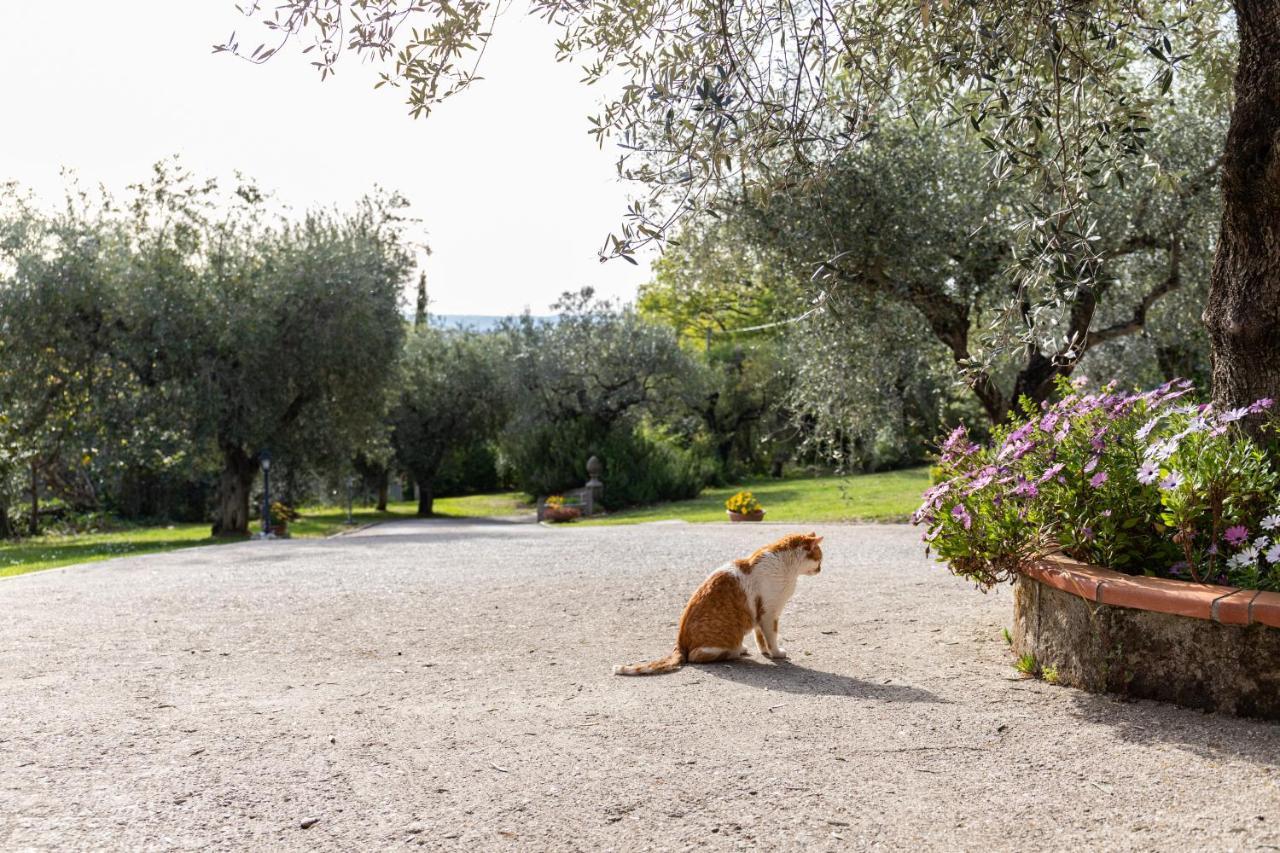 La Tana Delle Stelle B&B Di Charme E Relax Fara in Sabina Exterior photo