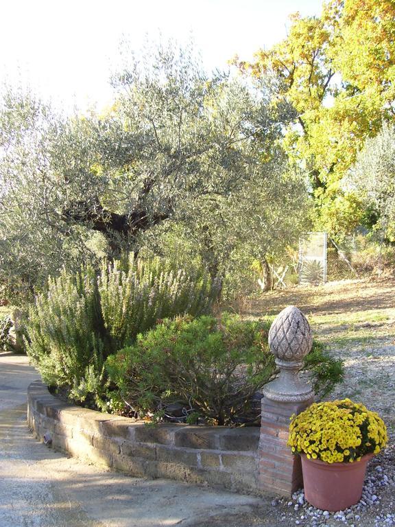 La Tana Delle Stelle B&B Di Charme E Relax Fara in Sabina Exterior photo